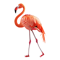 Deine Geschichte mit Flamingo