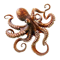 Deine Geschichte mit Oktopus